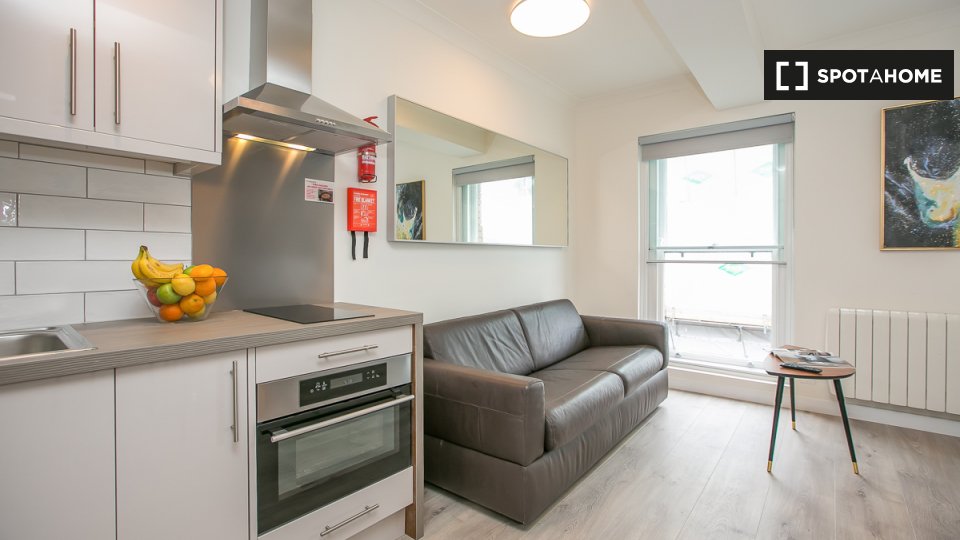 Serviced studio apartment for rent in St Stephen's Green, D2 (ref