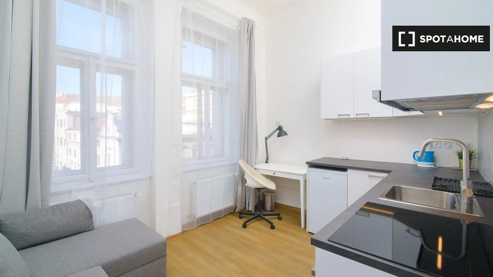 Studio apartment for rent in Prague (ref 916836) Spotahome