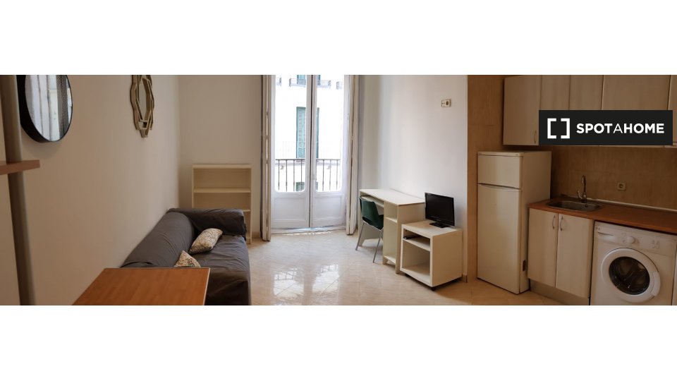 Whole 1 bedroom apartment in Madrid (ref 516881) Spotahome