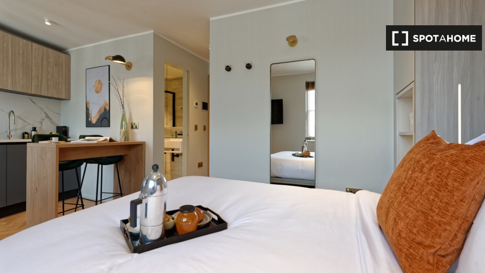 Studio apartment for rent in South Kensington, London (ref 642053