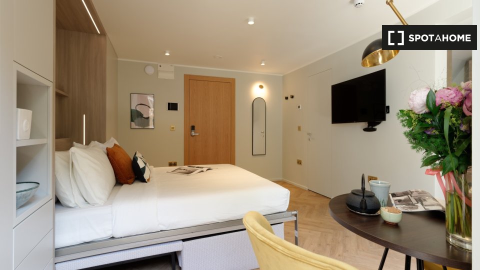 Studio apartment for rent in South Kensington, London (ref 641993