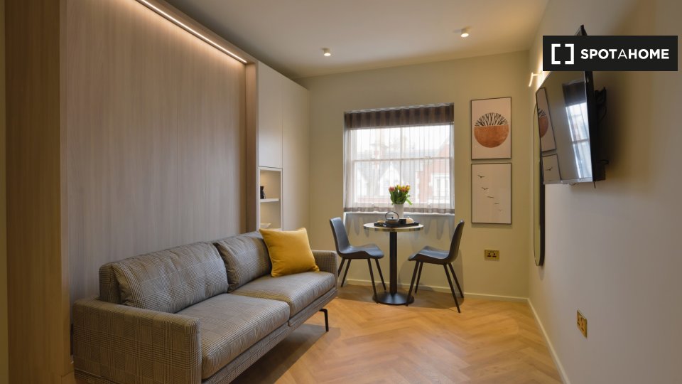 Studio apartment for rent in South Kensington, London (ref 642051