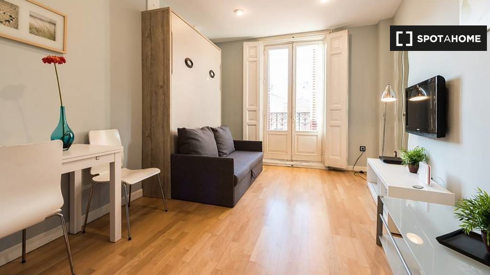 Studio apartment for rent in Centro, Madrid (ref 336996) Spotahome