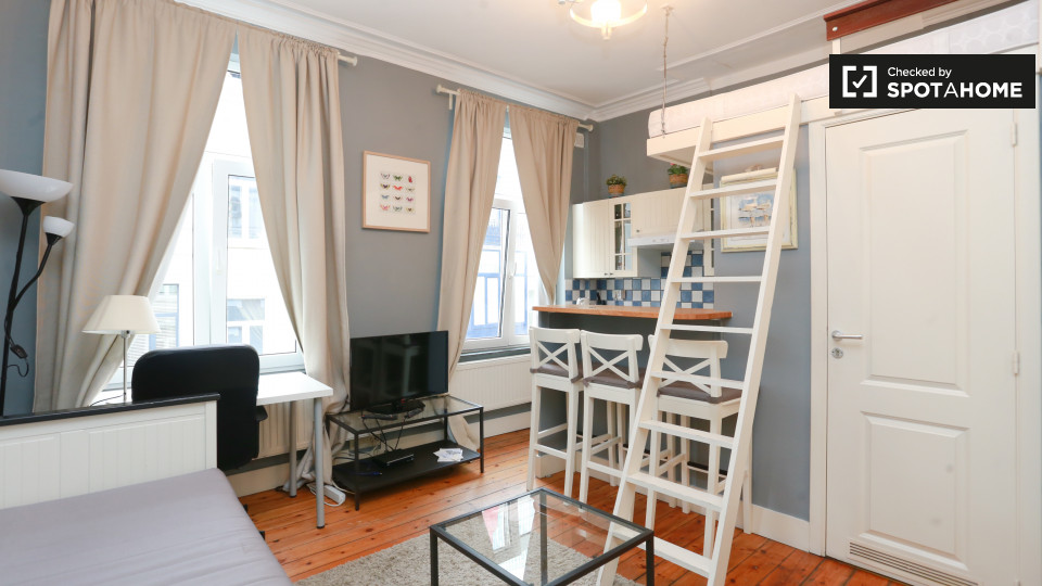 Studio apartment for rent in City center, Brussels (ref 135643) Spotahome