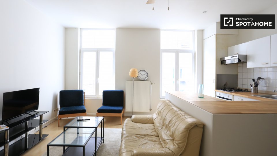 appartement 1 chambre à louer à Bruxelles City Center (ref 223117) Spotahome