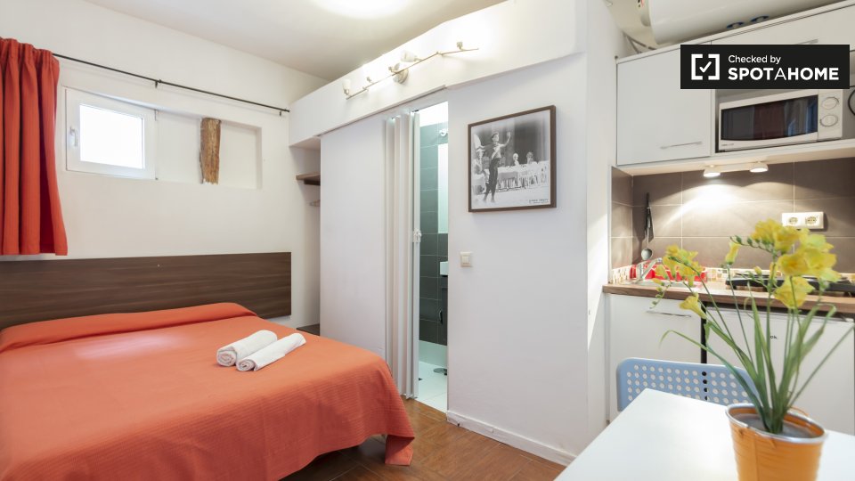 Studio apartment for rent in Centro, Madrid (ref 340804) Spotahome