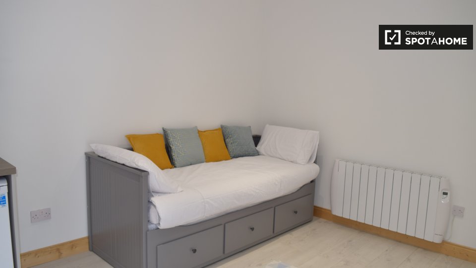 Cozy studio apartment for rent in Kilmainham, Dublin (ref 249961