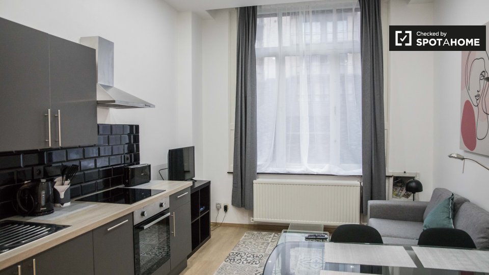 Cosy 1bedroom apartment for rent in Ixelles, Brussells (ref 385330