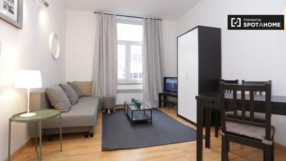 Charming studio apartment for rent in Saint Gilles, Brussels (ref
