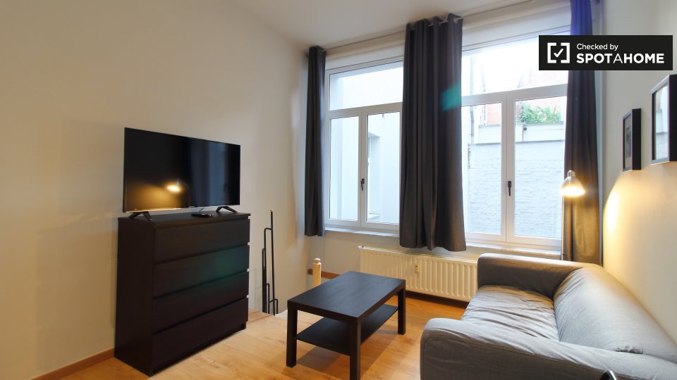 Stylish studio apartment for rent in Brussels' City Center (ref 385496
