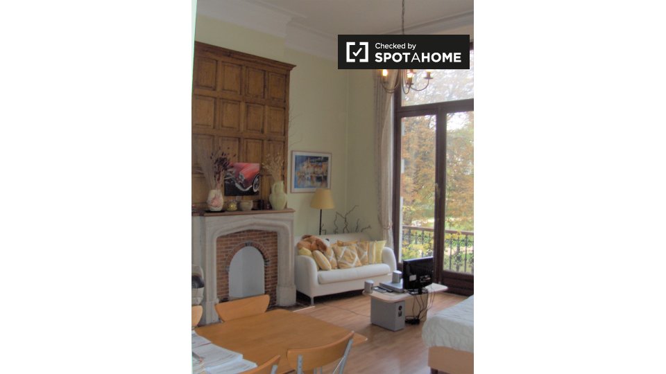 Studio à louer à Bruxelles (ref 692137) Spotahome