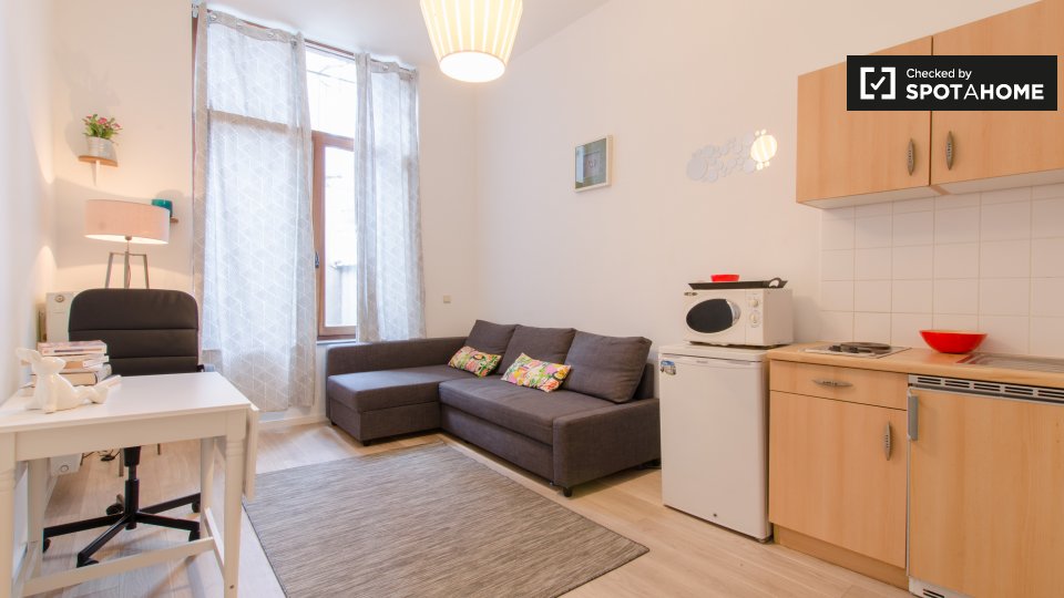 Cosy studio apartment for rent in Brussels city centre (ref 140315