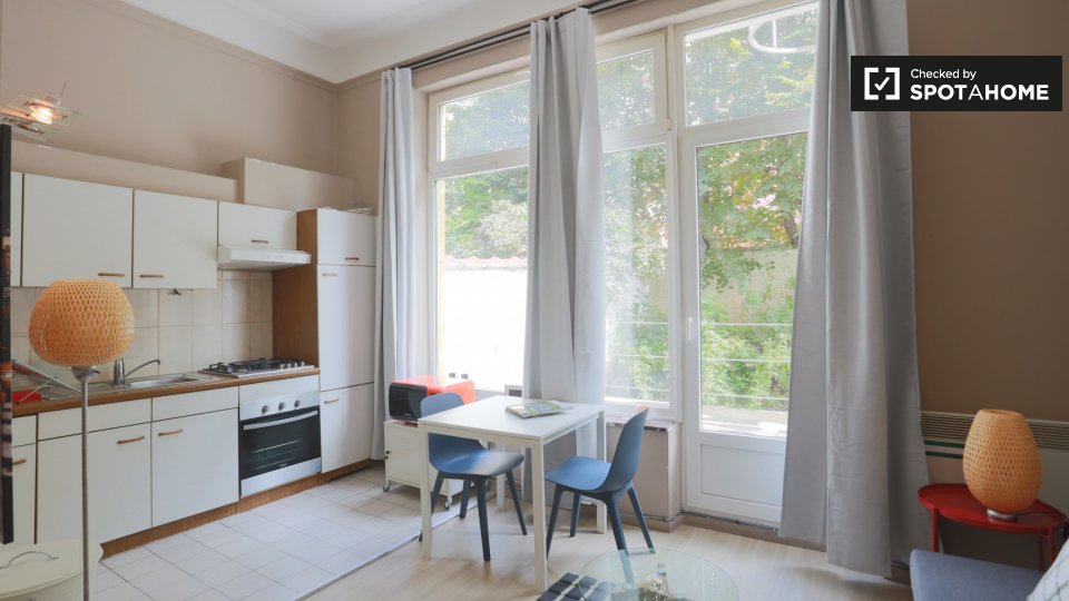Studio apartment for rent in Ixelles, Brussels (ref 258600) Spotahome