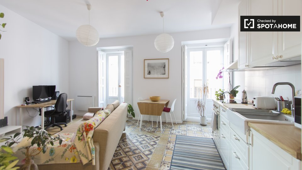 Modern1bedroom apartment for rent in Lavapies, Madrid (ref 231826