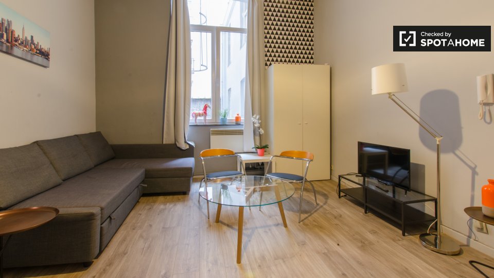 Comfy studio apartment for rent in Brussels city centre (ref 140214
