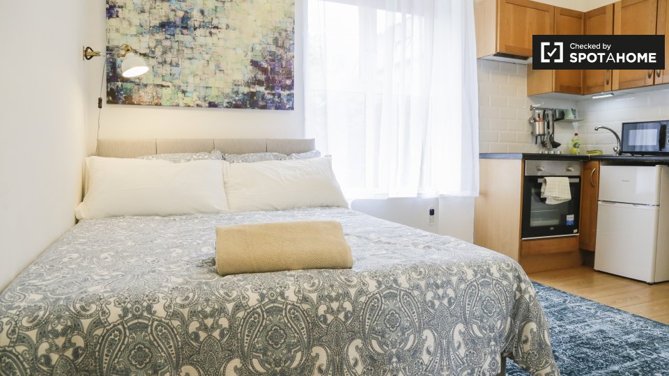 Cute studio apartment for rent in Rathgar, Dublin (ref 329720) Spotahome