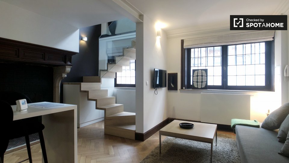 Chic studio apartment for rent in Saint Gilles, Brussels (ref 356795
