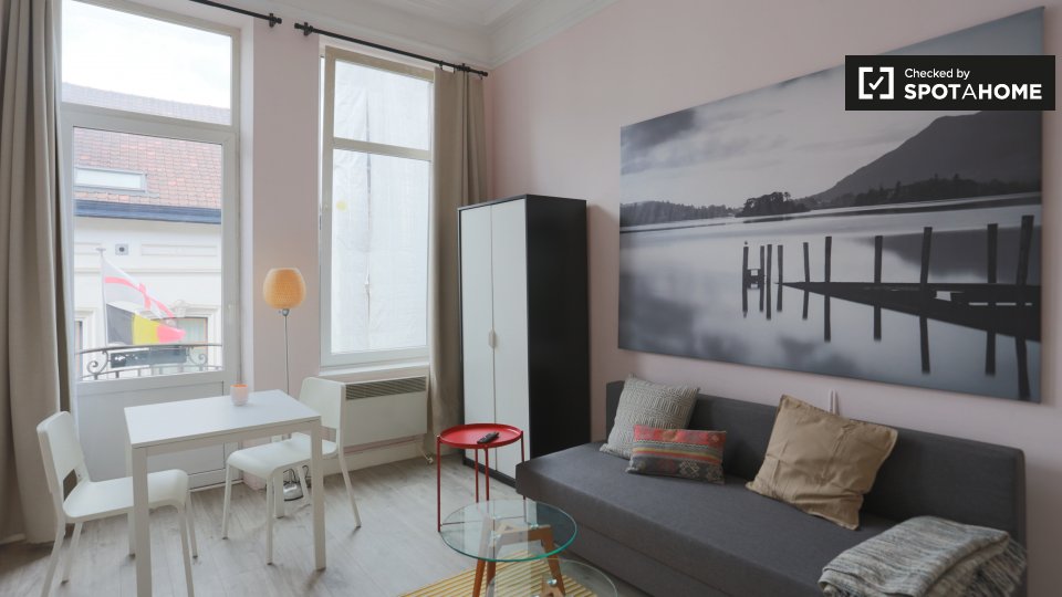 Studio apartment for rent in Ixelles, Brussels (ref 256415) Spotahome