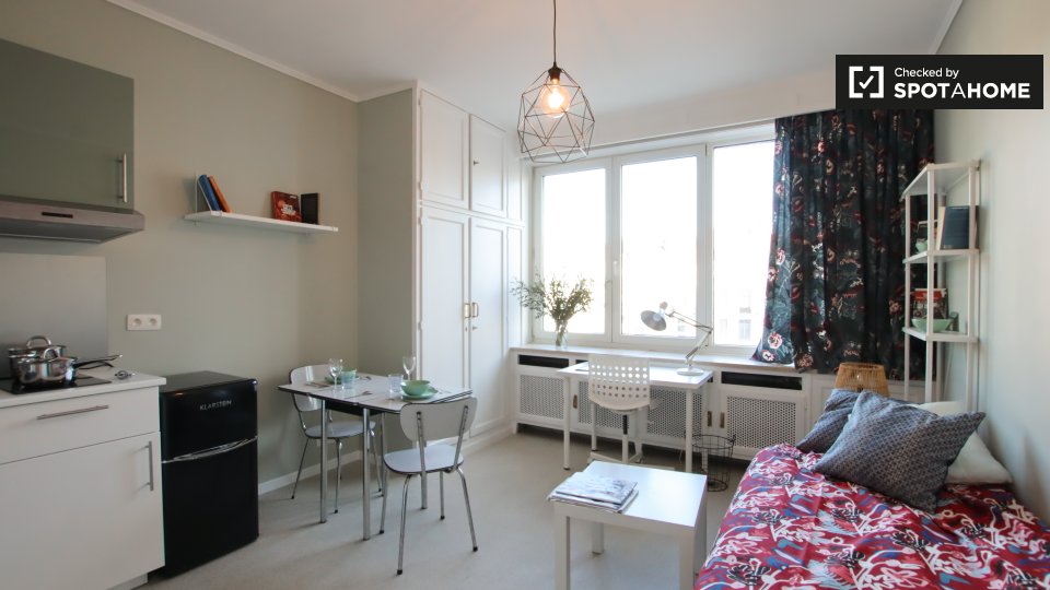 Neat studio apartment for rent in Ixelles, Brussels (ref 384065