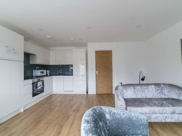 Elegant 2-bedroom apartment to rent in Lambeth, London