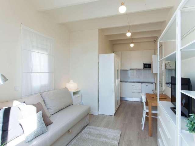 Studio apartment for rent in Sant Martí, Barcelona