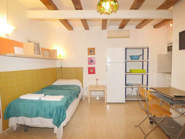 Studio apartment for rent in Barri Gòtic, Barcelona