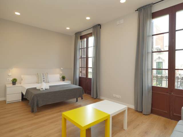Stylish studio for rent in Sants, Barcelona