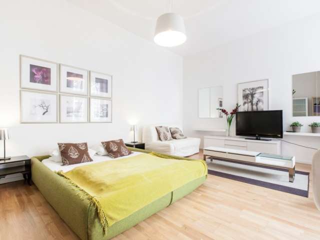 Helle Studio-Wohnung zur Miete in Kreuzberg, Berlin