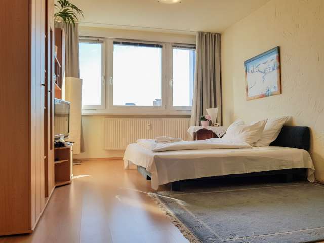 Einzimmerwohnung zur Miete in Mitte, Berlin