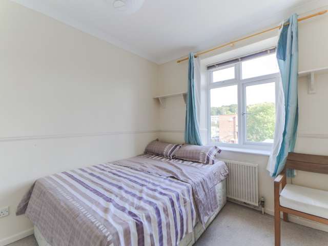 Light room in 4-bedroom flat in Wimbledon, London