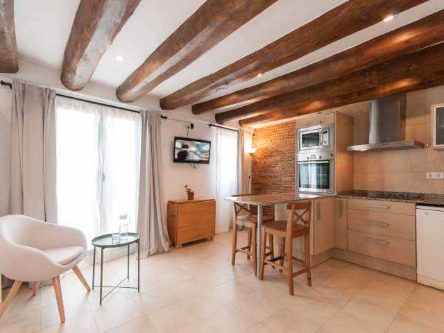 Studio apartment for rent in El Born, Barcelona