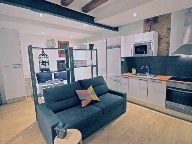 Studio apartment with AC for rent in Barri Gotic, Barcelona