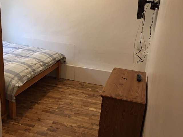 Comfortable room in 5-bedroom flat in Putney, London