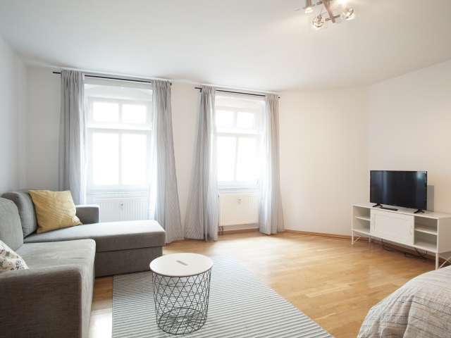 Das geräumige Studio-Wohnung zur Miete in Mitte, Berlin