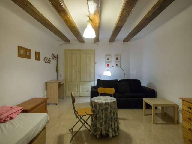 Cozy Studio apartment to rent in Gothic Quarter, Barcelona
