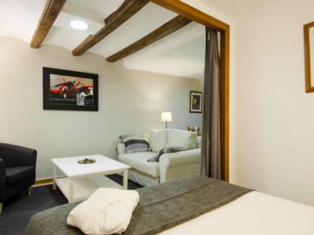 Studio apartment for rent in Sants, Barcelona