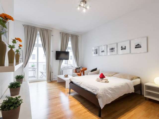 Helle Studio-Wohnung zur Miete in Kreuzberg, Berlin