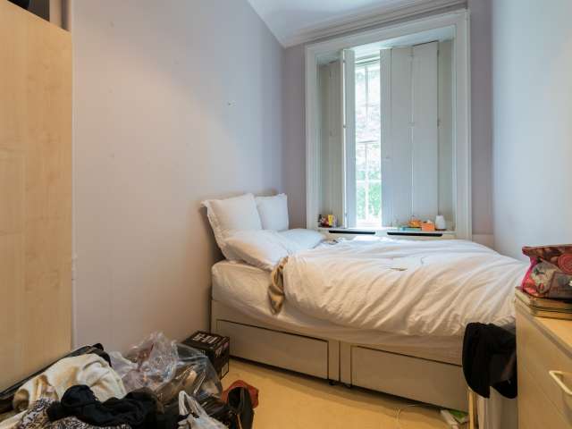 Great room in flat in Westminster, London