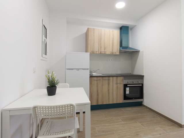 Nice studio apartment for rent in Sants, Barcelona