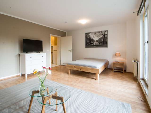 Helle 1-Zimmer-Wohnung zu vermieten in Pankow, Berlin