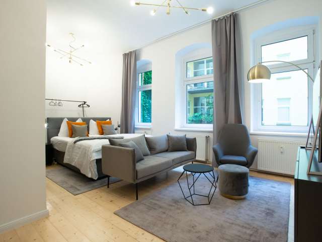 Attraktives Studio-Apartment zu vermieten in Mitte, Berlin