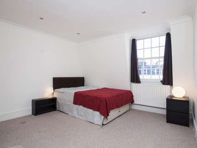 Comfortable room in flat in Westminster, London