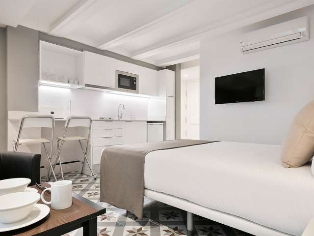 Studio apartment for rent, Sagrada Familia, Barcelona