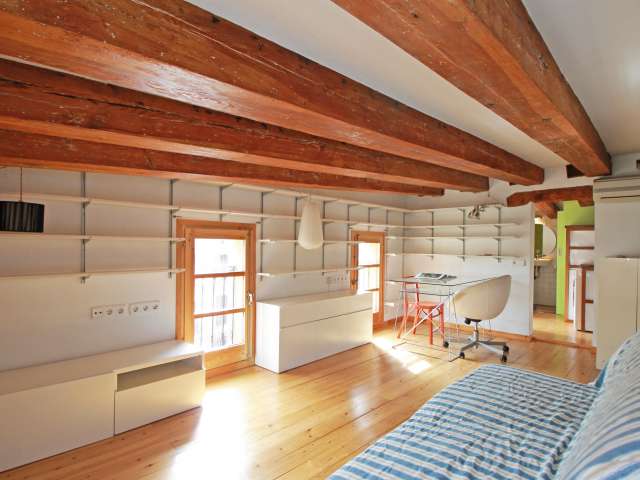 Charming studio apartment for rent in El Born, Barcelona