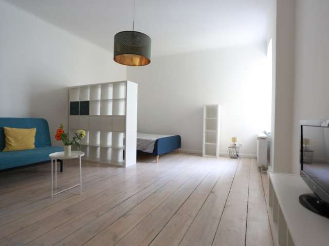 Modernes Studio-Apartment zur Miete in Mitte, Berlin