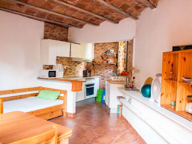 Lovely studio apartment to rent in El Carmel