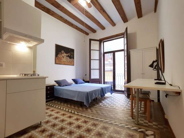 Cosy studio apartment for rent in Barri Gòtic, Barcelona