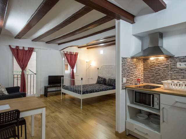 Studio apartment for rent in El Raval, Barcelona