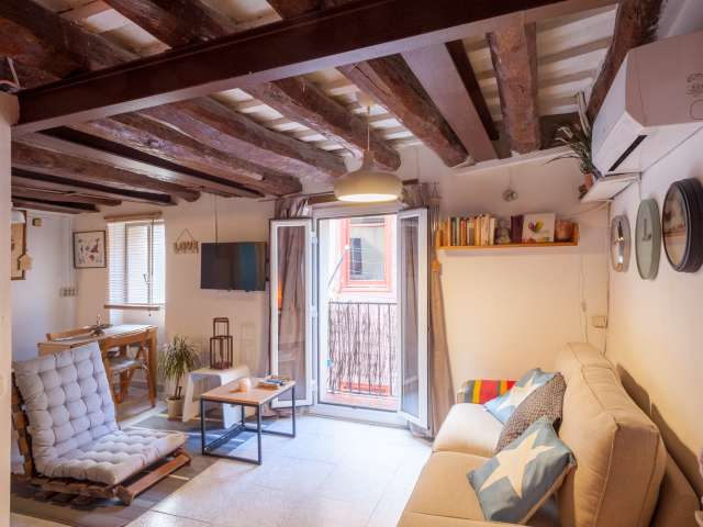 Eclectic studio apartment to rent in El Born, Barcelona