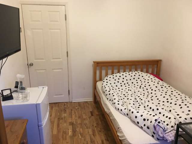 Bright double room in 5-bedroom flat in Putney, London